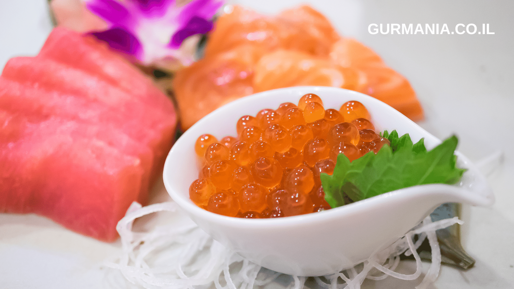 עיצוב ללא שם – 2023-06-15T113101.637